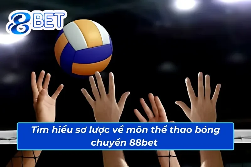 Trải Nghiệm Bóng Chuyền 88Bet Để Thắng Tiền Triệu Không Khó 2 Đôi nét về môn thể thao bóng chuyền 88Bet