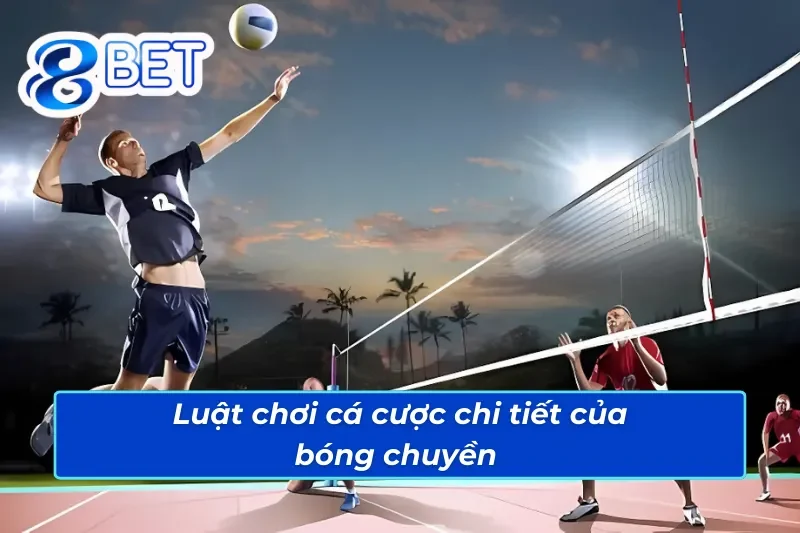 Trải Nghiệm Bóng Chuyền 88Bet Để Thắng Tiền Triệu Không Khó 3 Luật cá cược bóng chuyền 88Bet đơn giản và dễ hiểu
