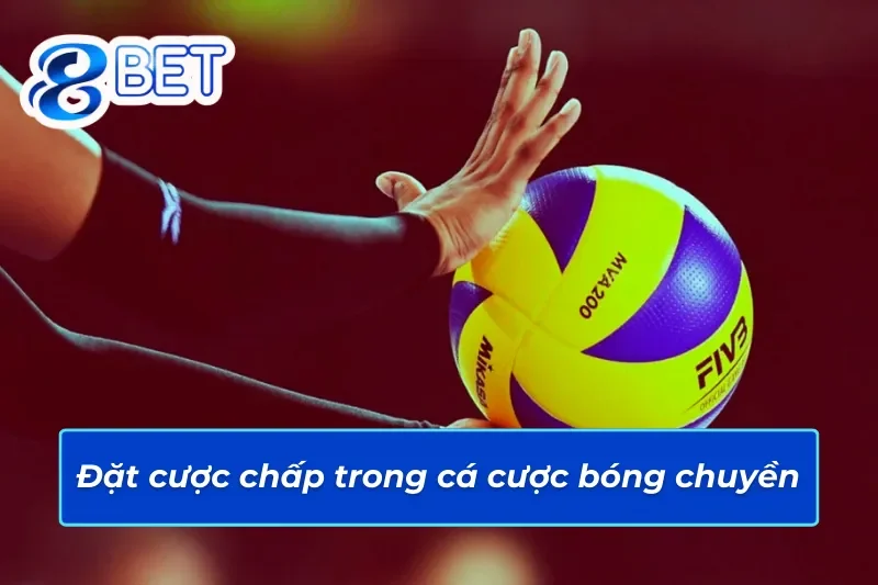 Trải Nghiệm Bóng Chuyền 88Bet Để Thắng Tiền Triệu Không Khó 5 Cược chấp hấp dẫn trong bóng chuyền 88Bet