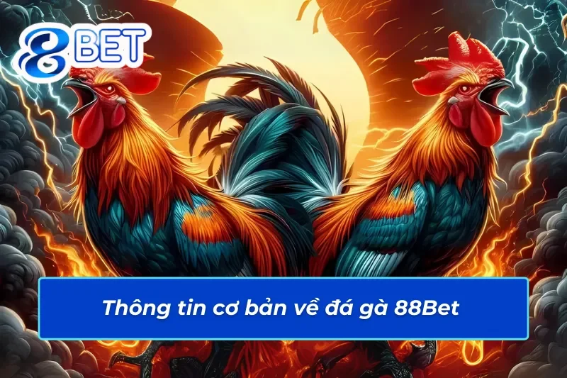 Đá Gà 88Bet - Đấu Trường Cá Cược Đá Gà Đẳng Cấp Quốc Tế 2 Giới thiệu những thông tin cơ bản của đá gà 88Bet
