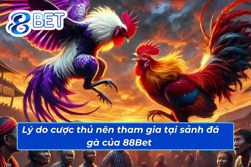 Đá Gà 88Bet - Đấu Trường Cá Cược Đá Gà Đẳng Cấp Quốc Tế 3 Những lý do anh em nên tham gia đá gà 88Bet