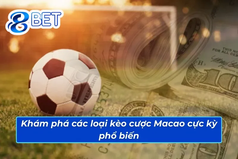 Các tỷ lệ cược được lựa chọn nhiều trong kèo Macao 88Bet 