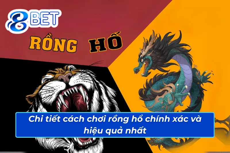 Rồng Hổ 88Bet - Trải Nghiệm Giải Trí Với Lợi Nhuận Khủng 3 Hướng dẫn cách thức chơi rồng hổ 88Bet